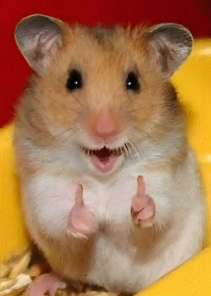 Hamster Meme