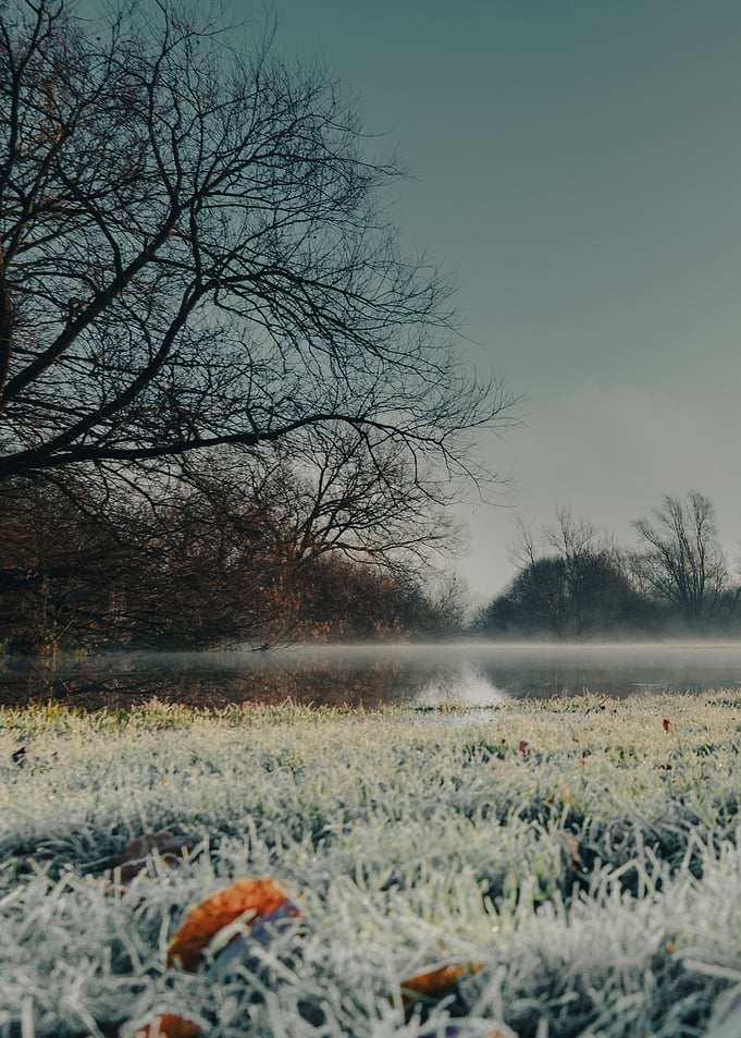 Frozen Landscape