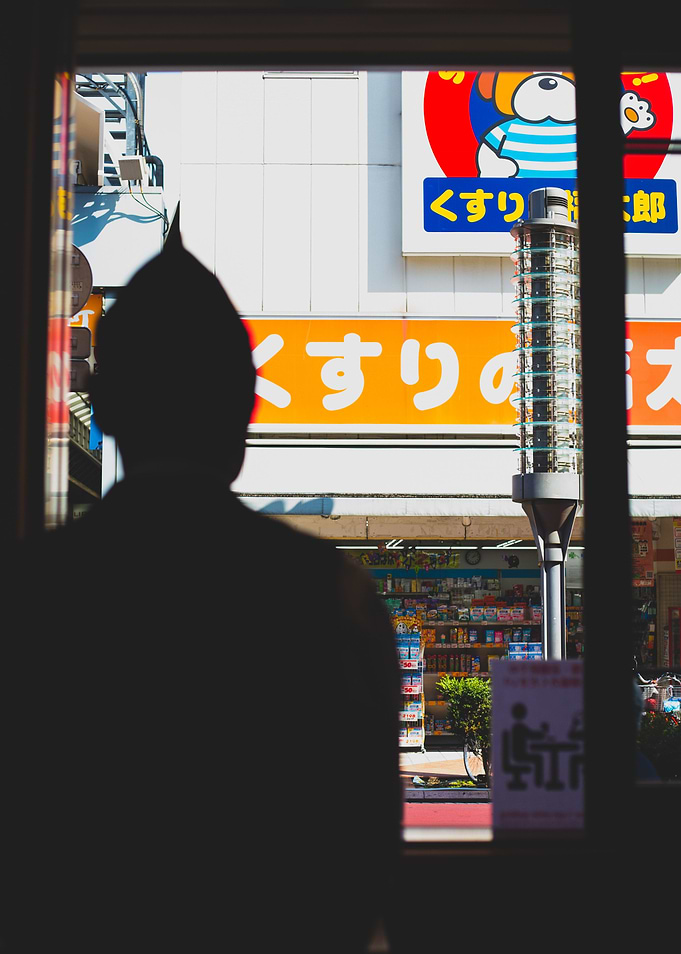 TOKYO ICE CREAM