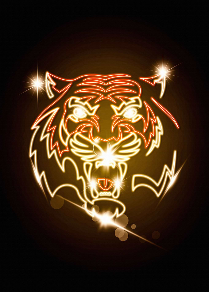 Amur Khabarovsk Neon