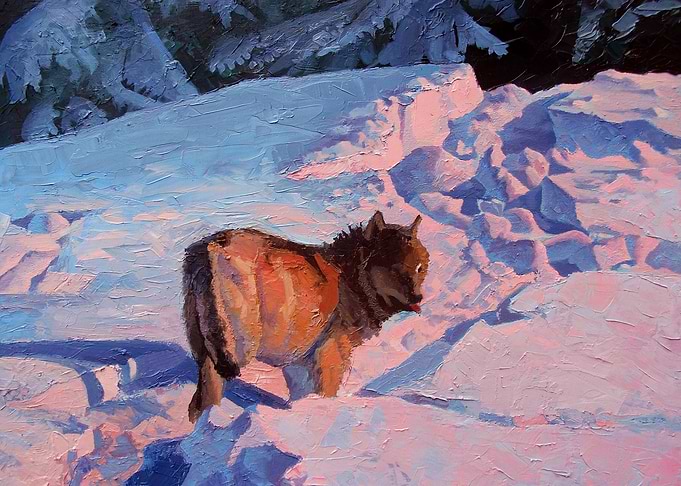 Wolf