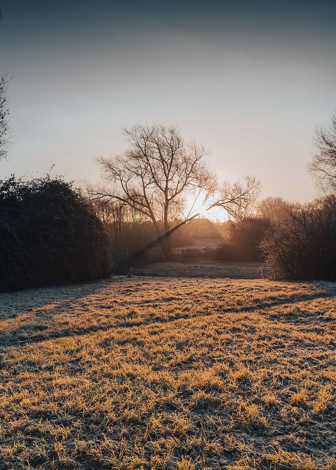 Misty Morning