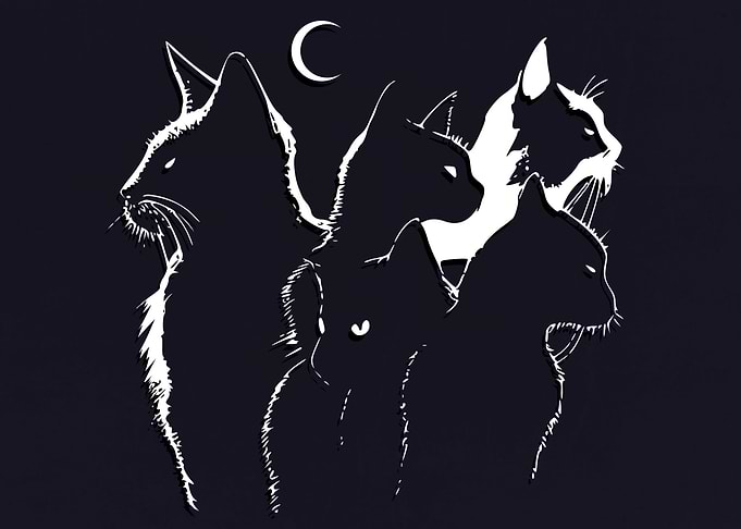The Cats Shadows