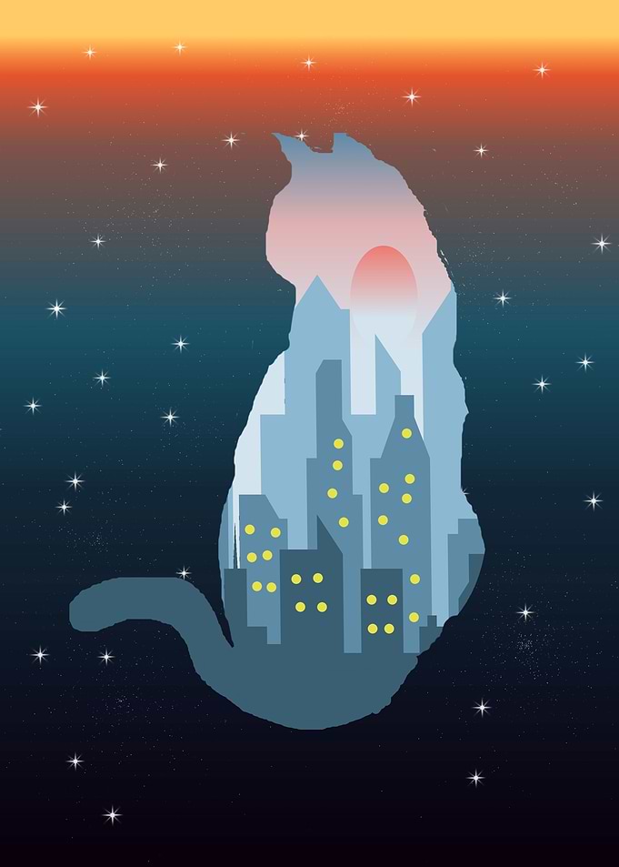 Kitty