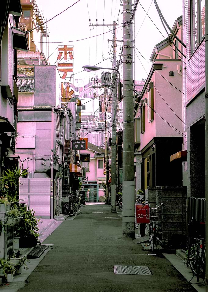 Aesthetic Village View