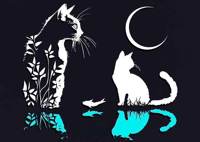 The Cats Shadows