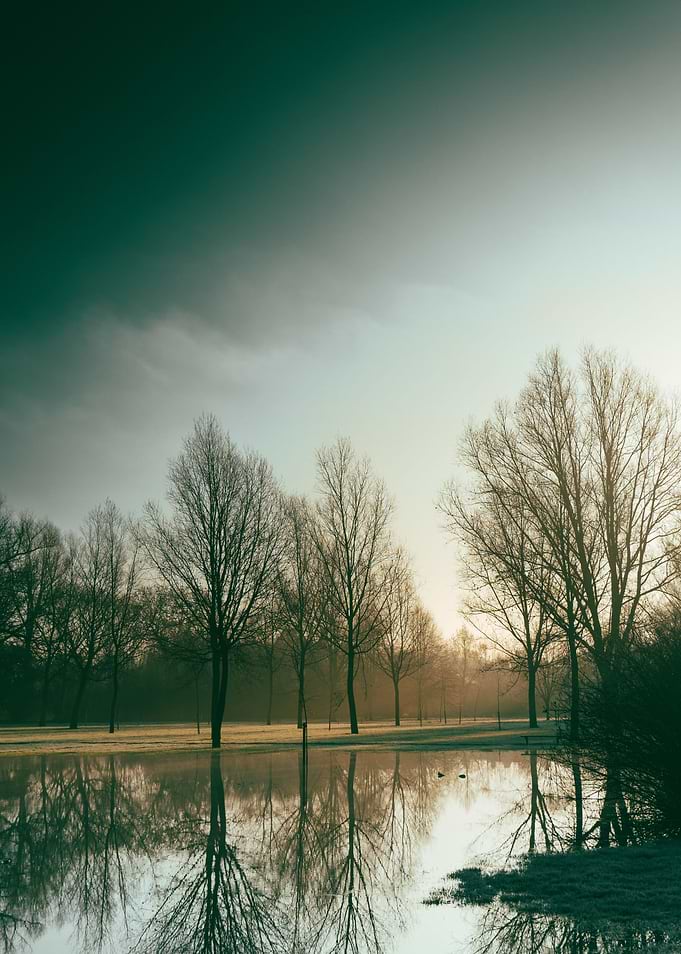 Mist in the Morning