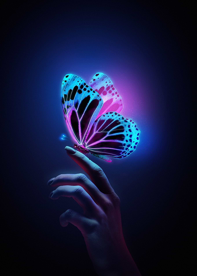 Butterfly Neon