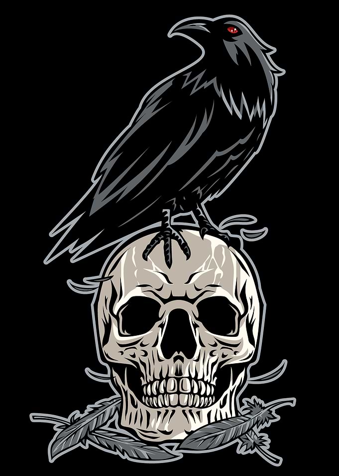 raven