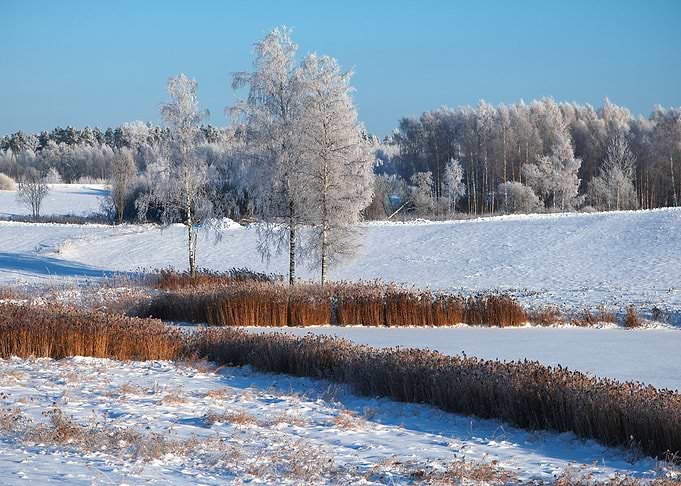Winter nature landscape