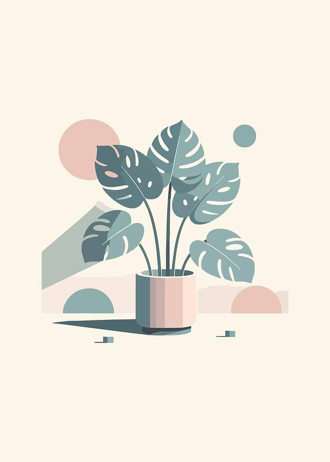 Monstera Elegance