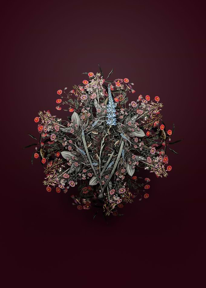 Ixia Cepacea Floral Wreath