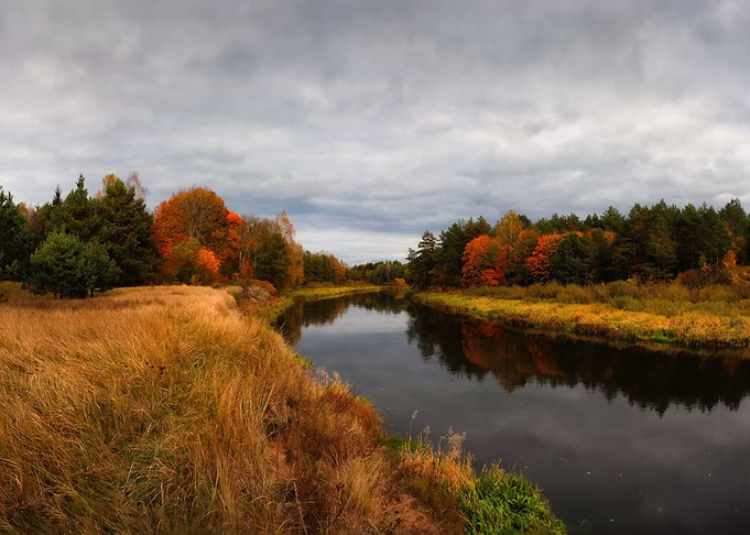 Nature in autumn