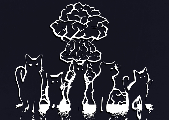 The Cats Shadows