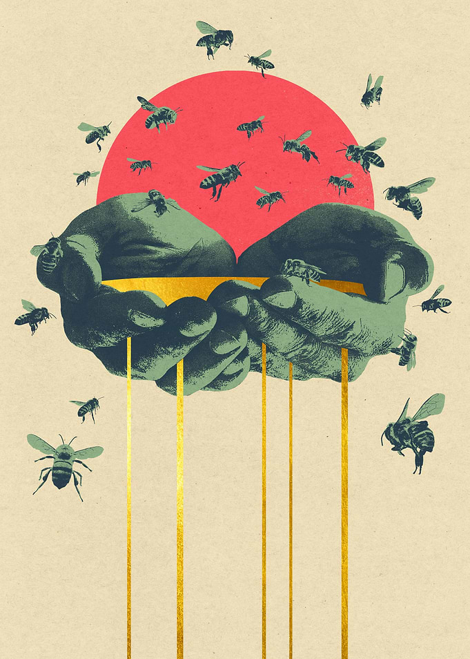23 Bees