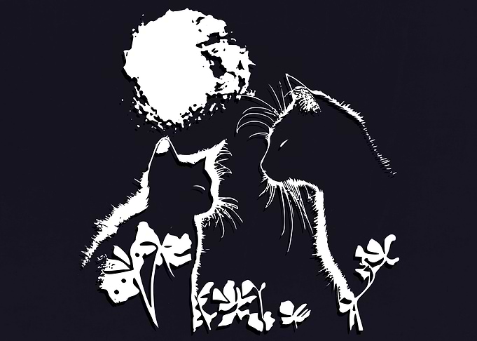 The Cats Shadows