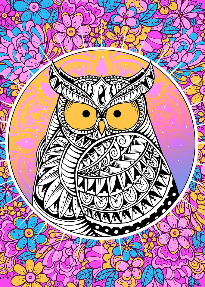 Floral Owl