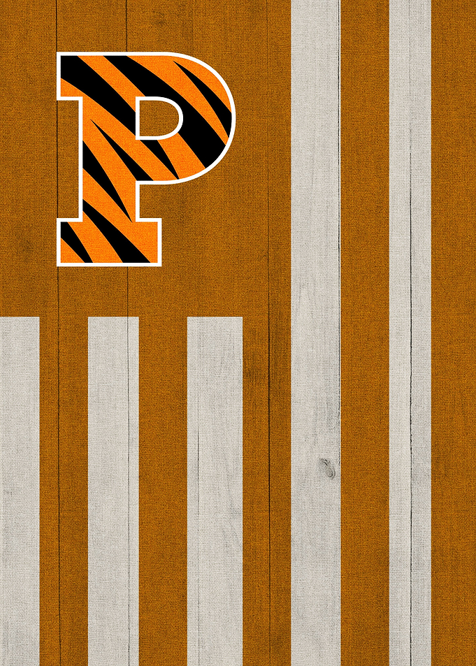 Princeton Tigers Flag