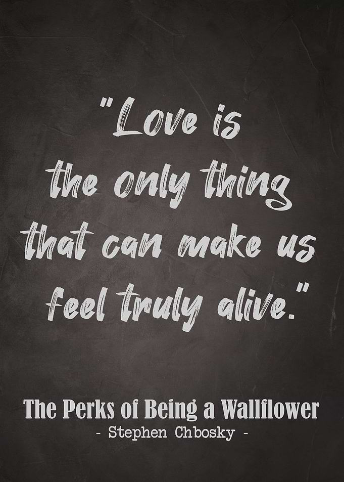 The Perks of a Wallflower