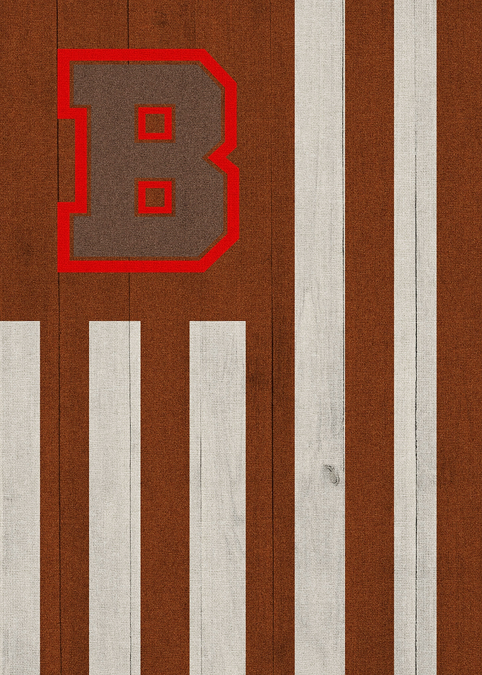 Brown Bears football Flag