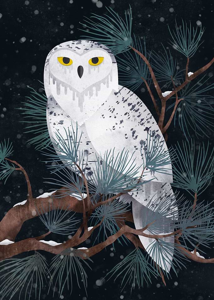 Snowy Night Version