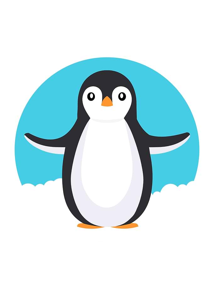 A Happy Penguin