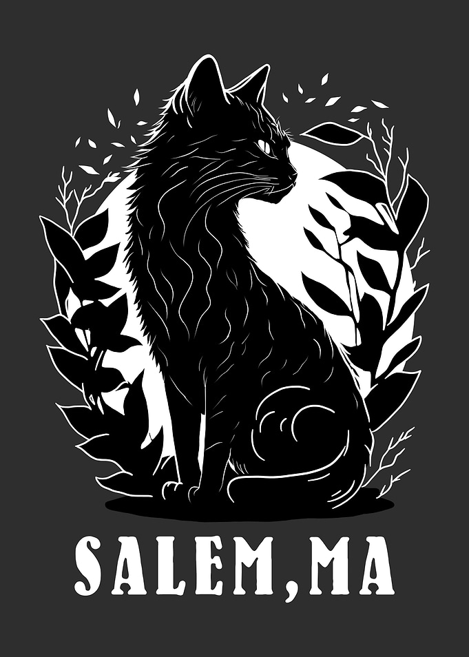 Salem Black Cat