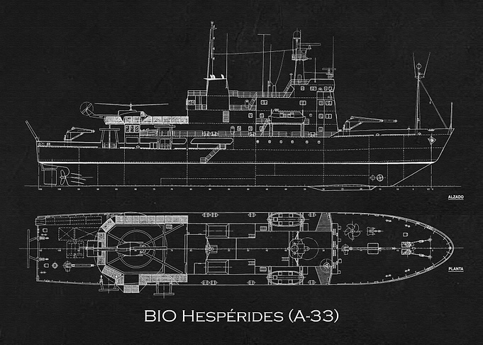 BIO Hesperides A33