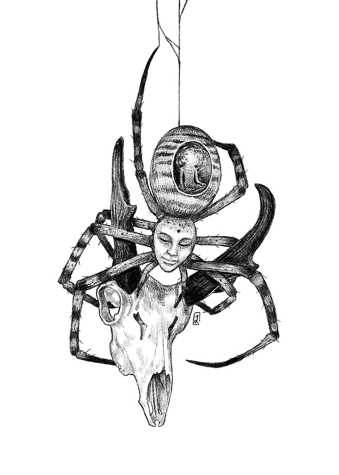 Animal Skull Spider Face