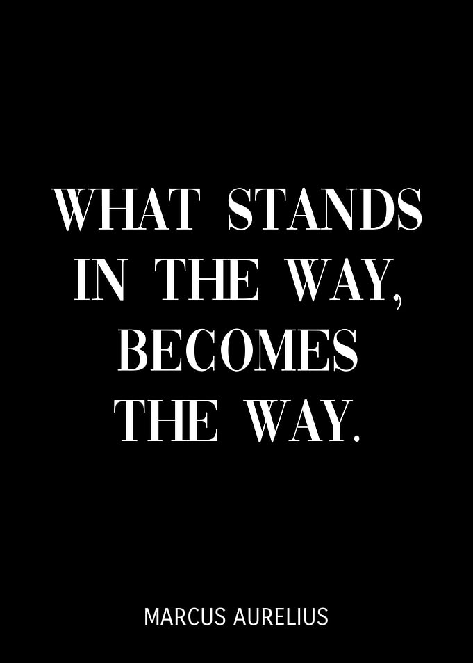 Marcus Aurelius Quotes