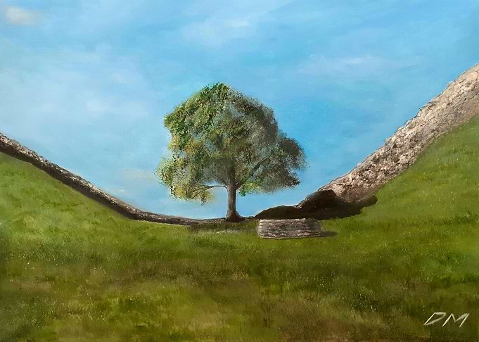 Sycamore Gap Legacy