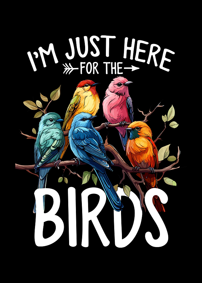Funny Birds Bird Watching