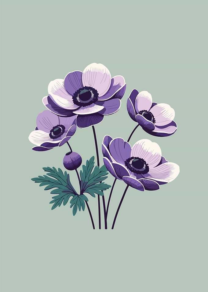Lavender Anemones
