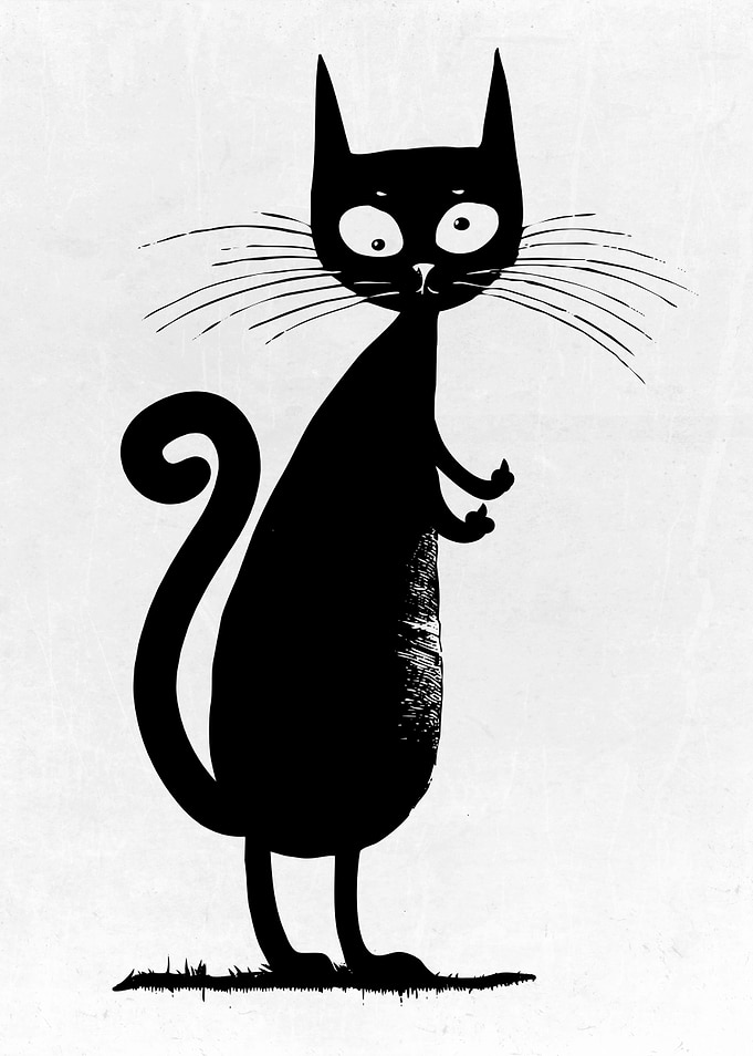 My Dirty Cat