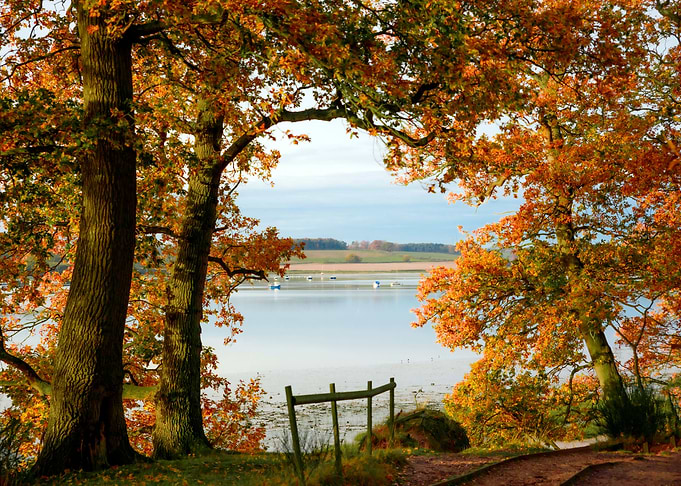 Perfect Autumn