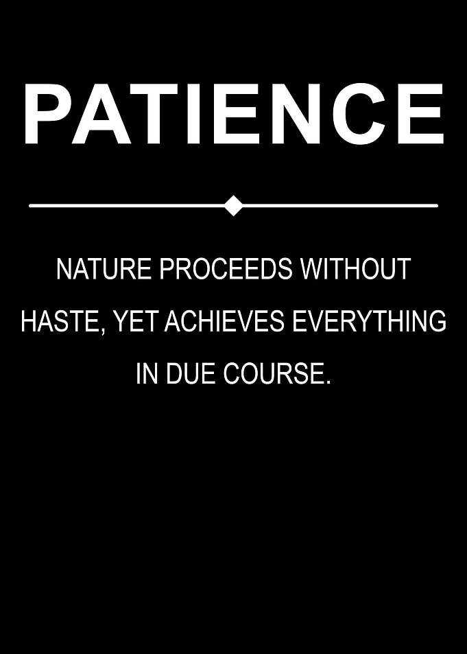 Patience Motivation Quote