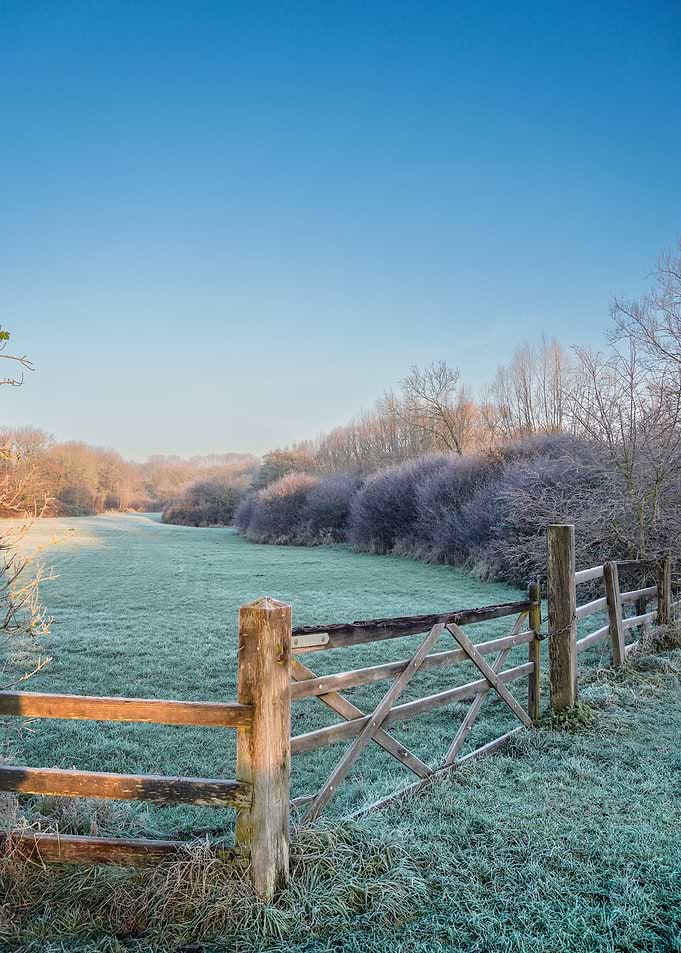 Winter landscape