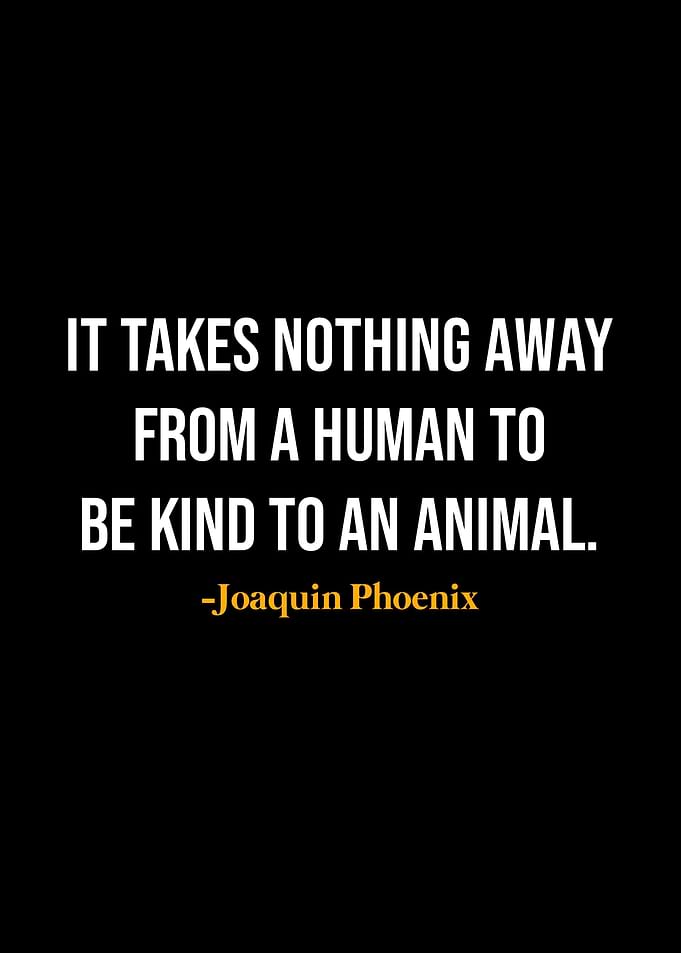 Joaquin Phoenix Quotes