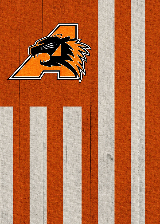 Aledo Bearcats Flag