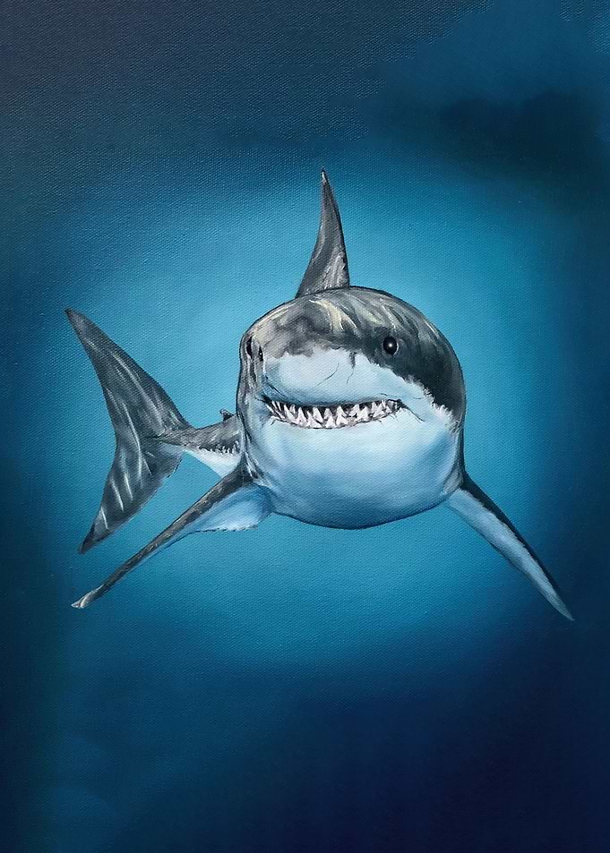 Shark Painting Art
