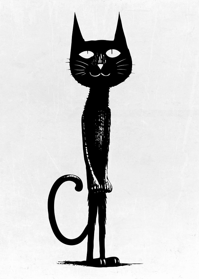 My Dirty Cat