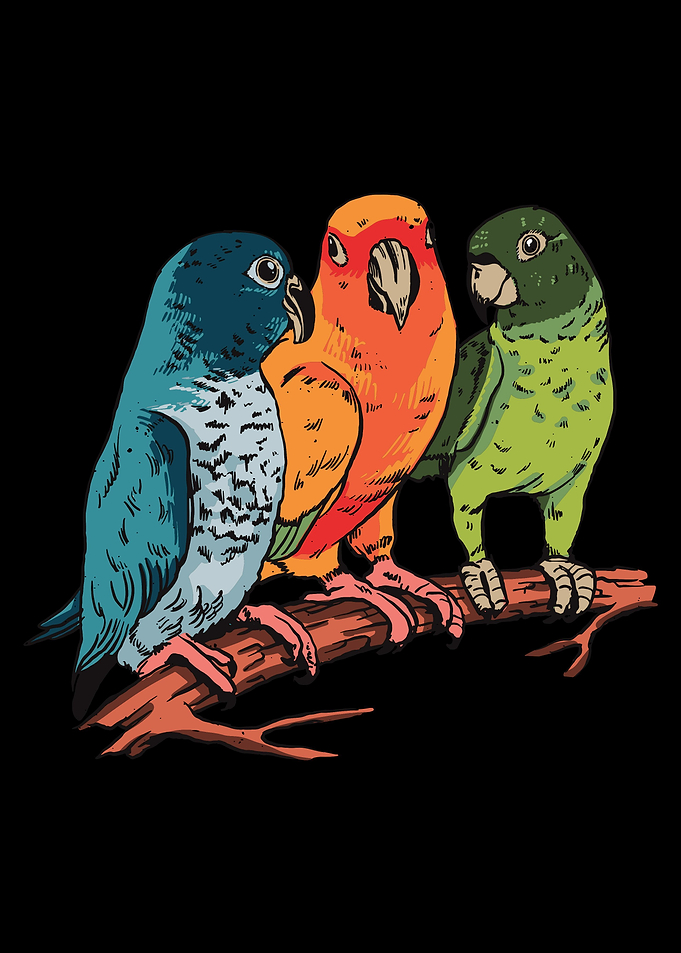 Parrots
