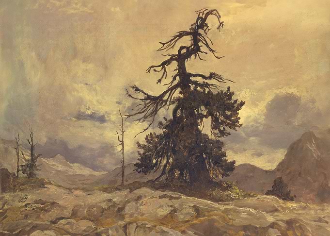 The Dying Monarch