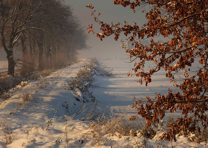 Frosty morning