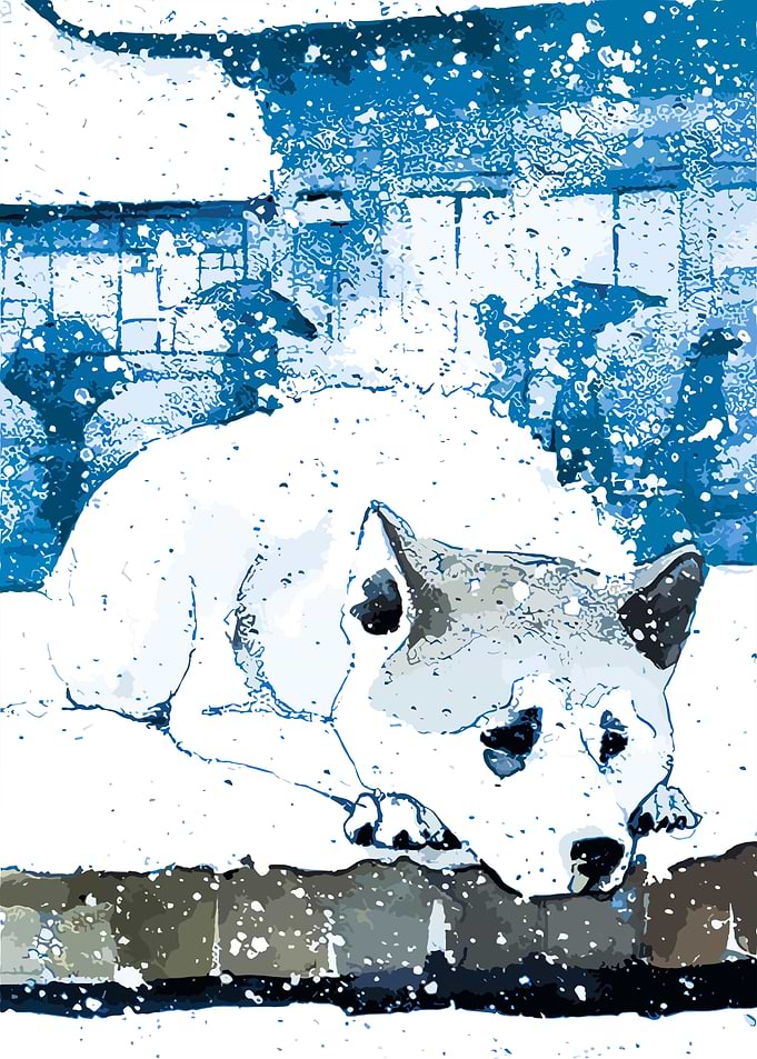 Hachiko