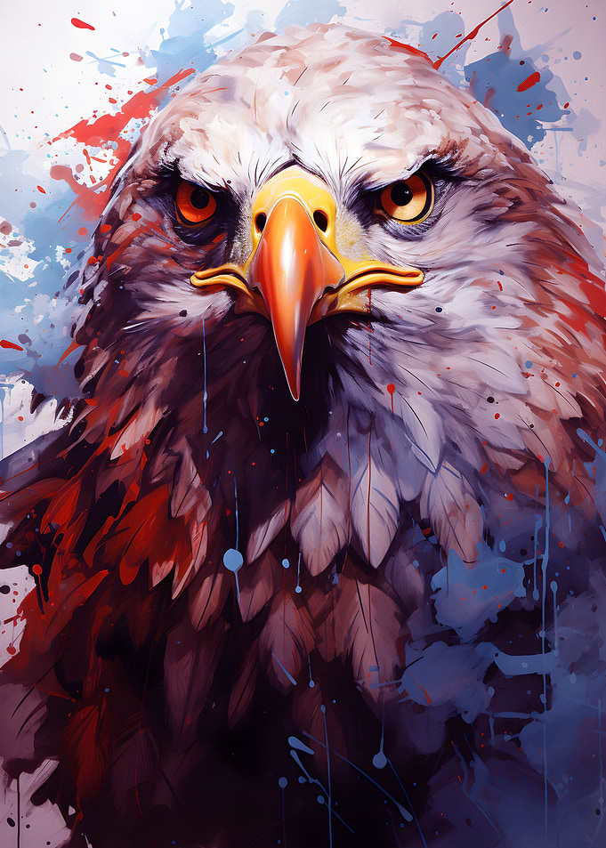 Bald Eagle Gaze