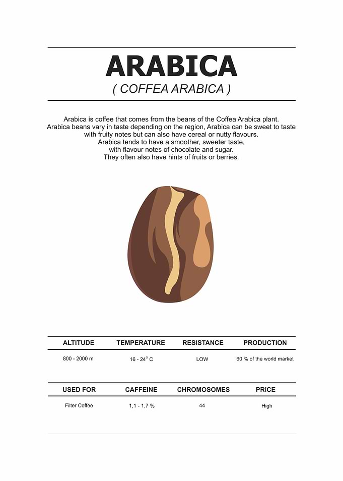 arabica coffee beans