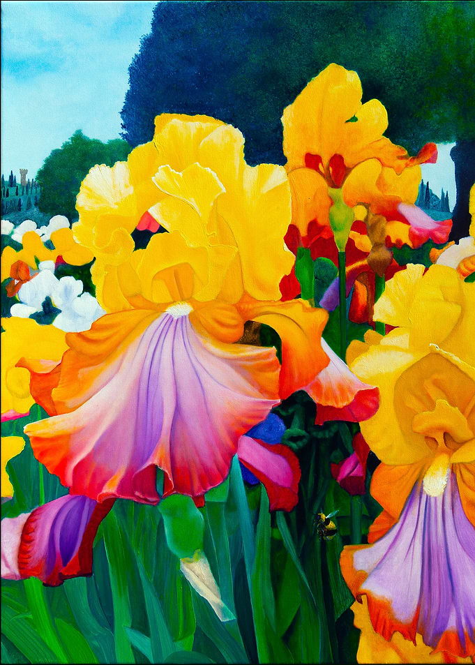 Iris Garden