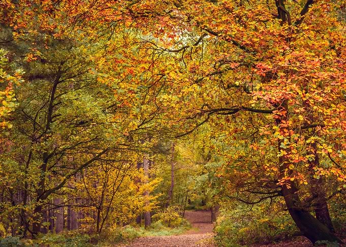 Autumn in UK