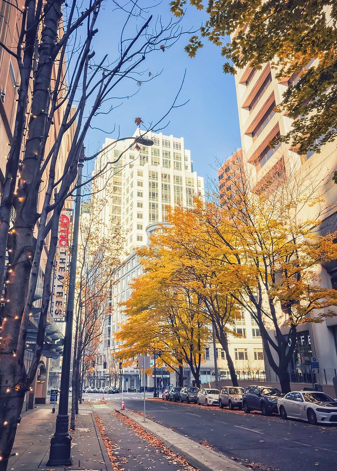 Fall in the City
